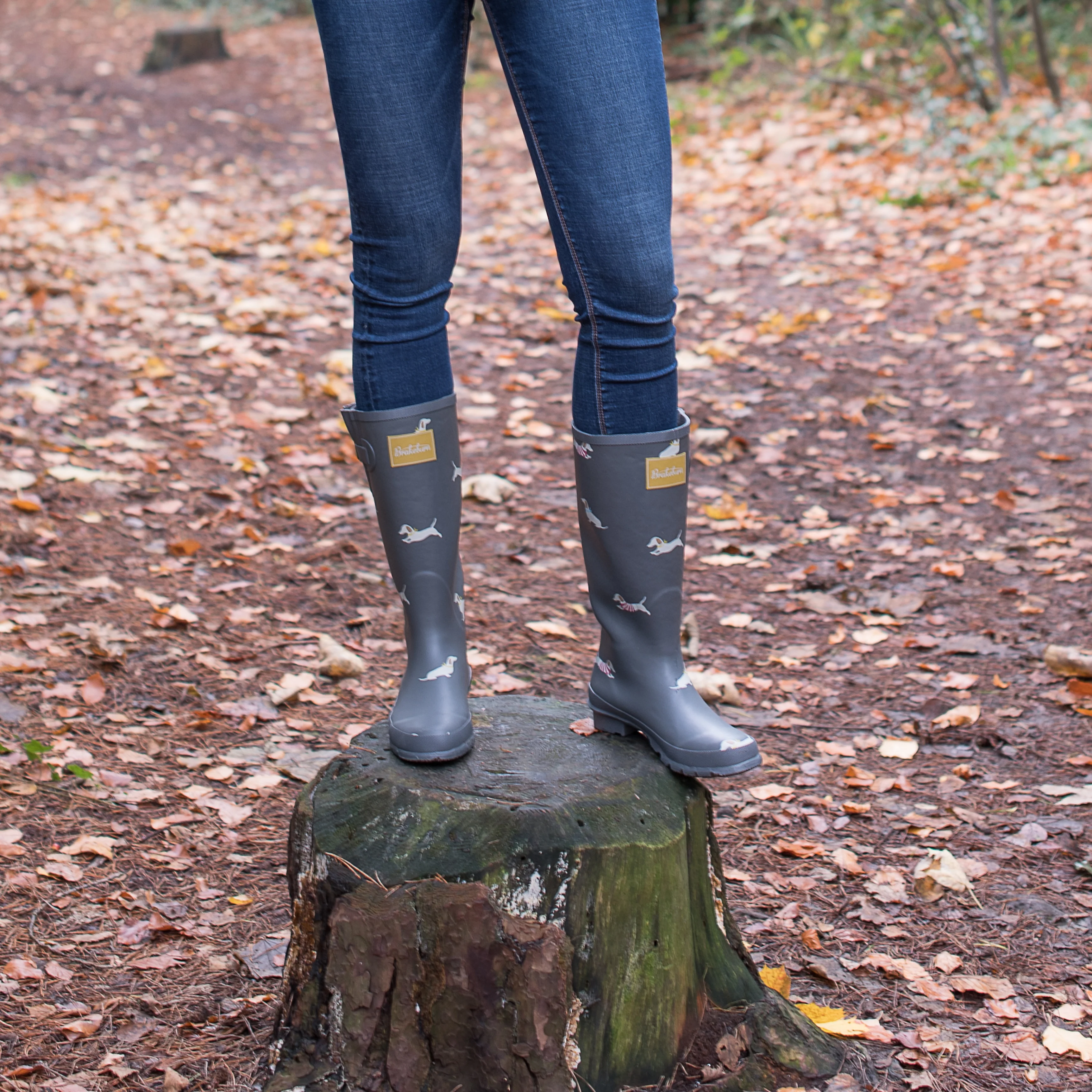 Sausage Dog Wellies - Image 3